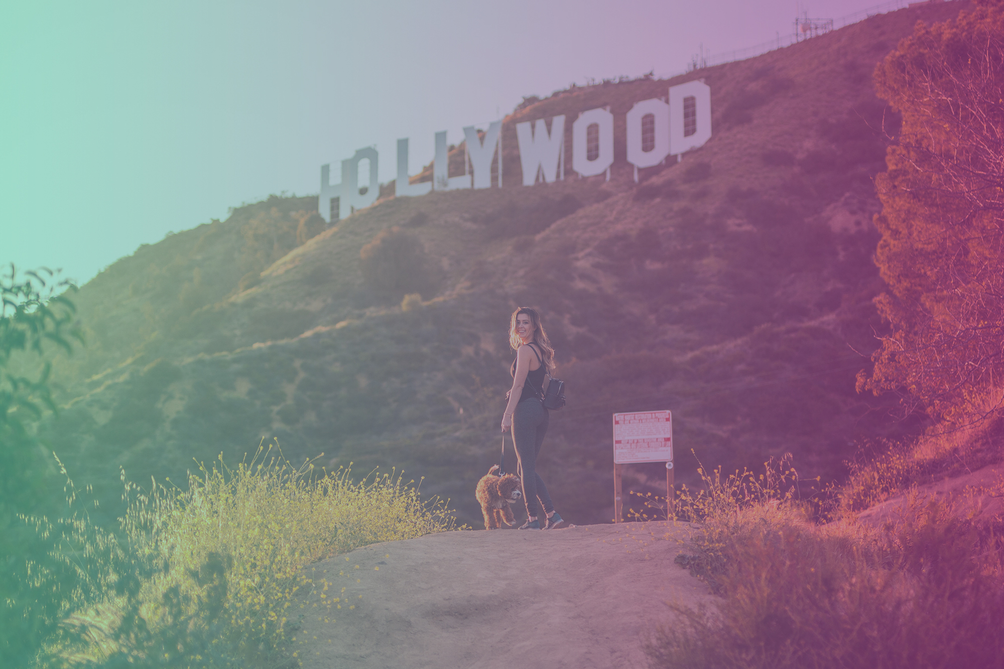 The Ultimate Guide to Celebrity Influencer Marketing, image size:2000x1333