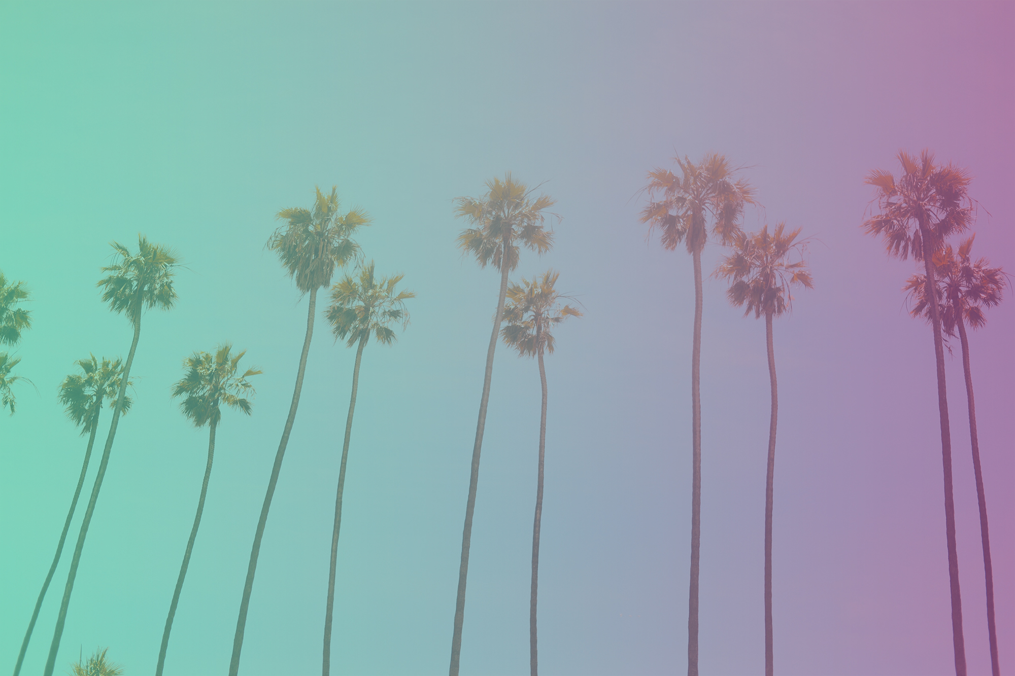 The Best California Influencers You Should Be Following