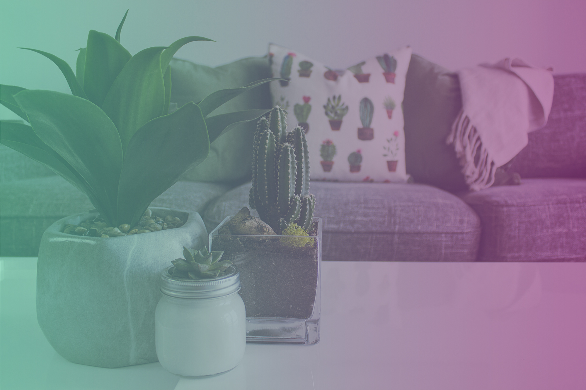 Here Are the Top Home and Garden Influencers You Need to Know