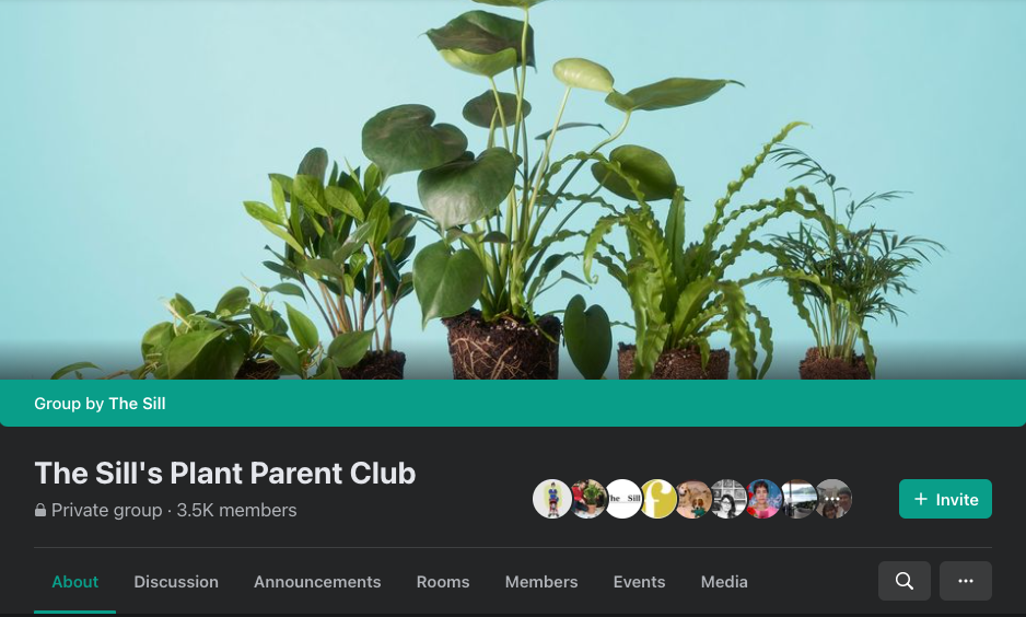 Facebook Groups: The Sill's Plant Parent Club