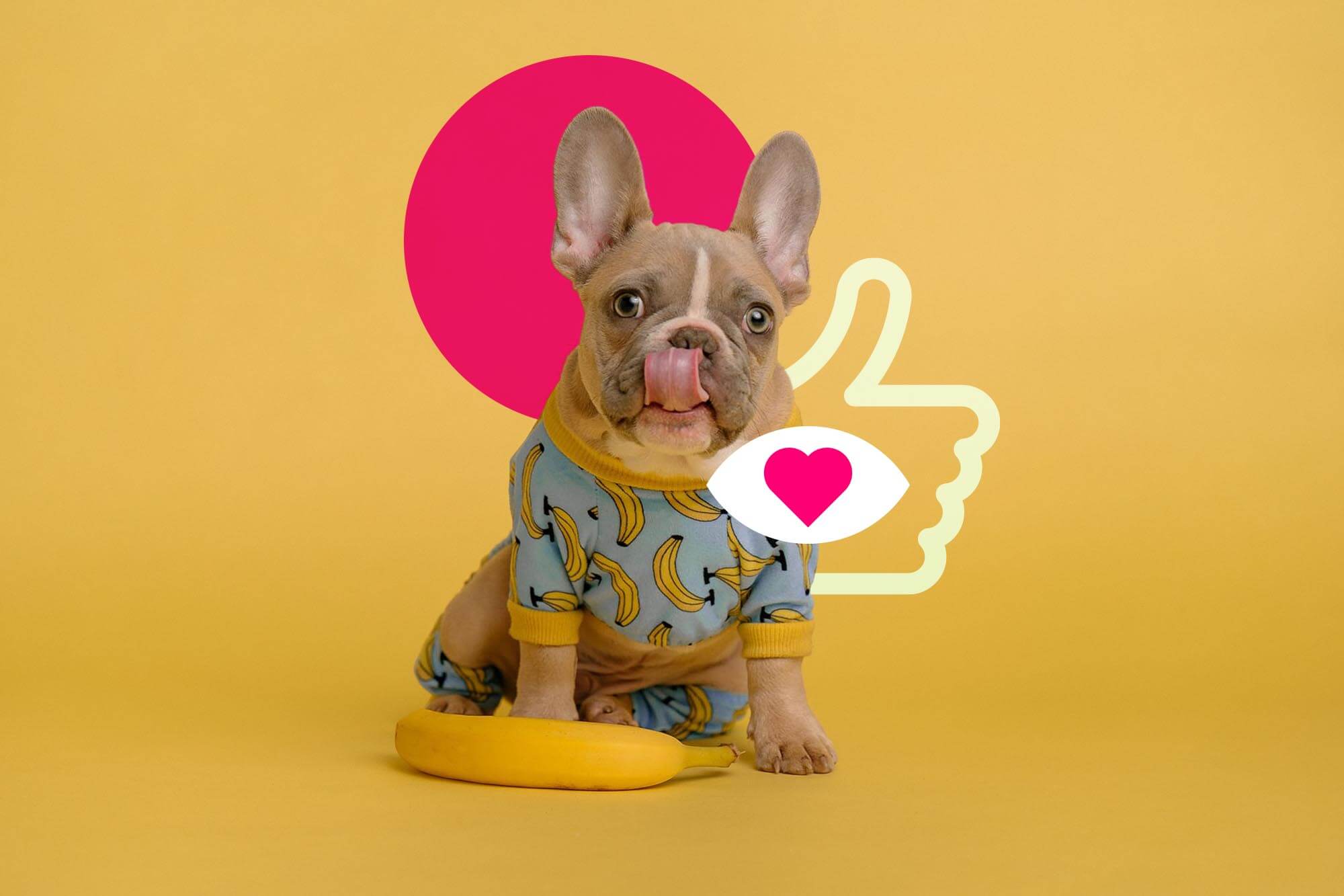 Dog Wearing Banana Pajamas Next to a Banana