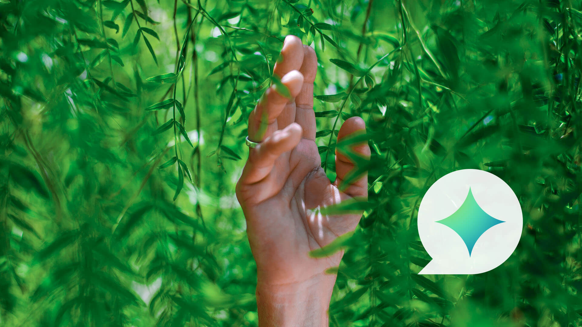 IZEA s Commitment To Sustainability Caring For The Earth