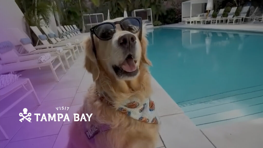 IZEA - Our IZEAs - Visit Tampa Bay