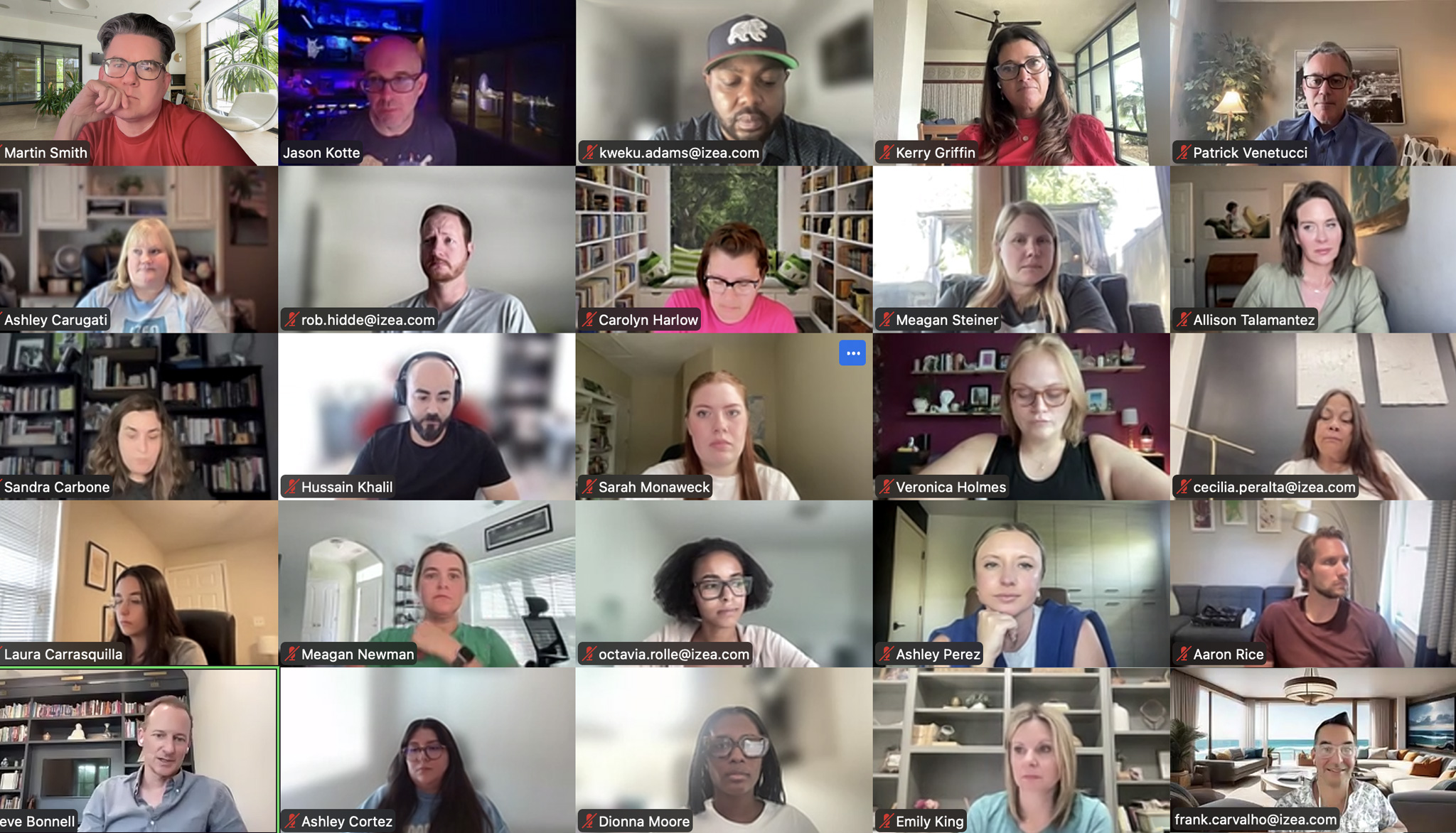 Zoom Meeting with IZEA employees